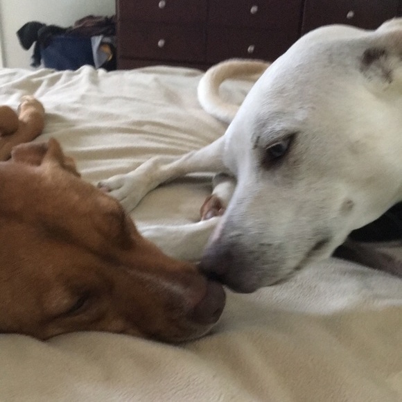 Meet your Posher, Jennie - Picture 1 of 1